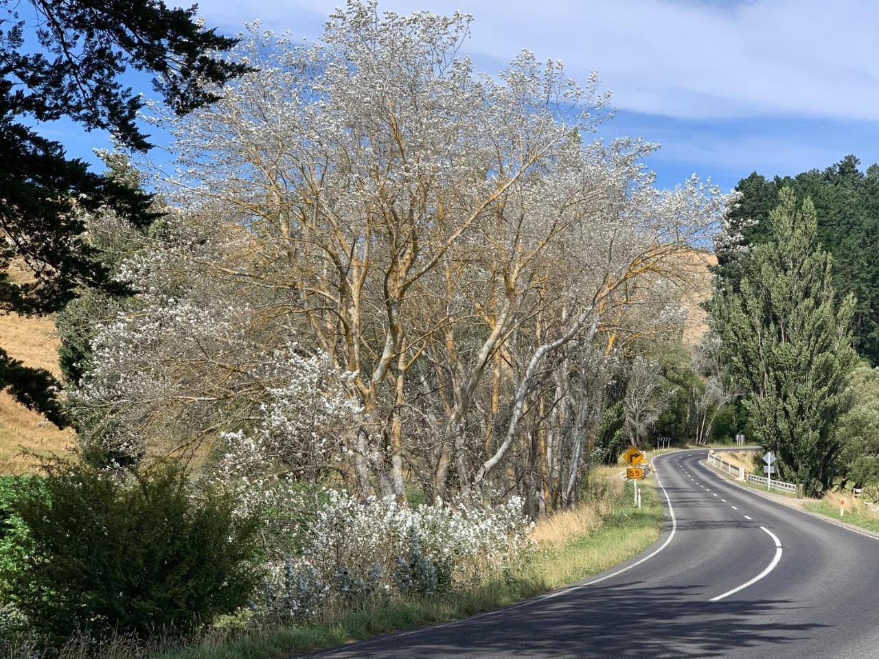 Wallingford Homestead מראה חיצוני תמונה